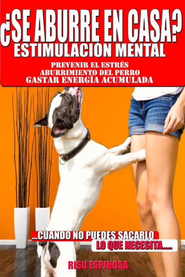 ¿Se aburre en casa?. Estimulacion mental
