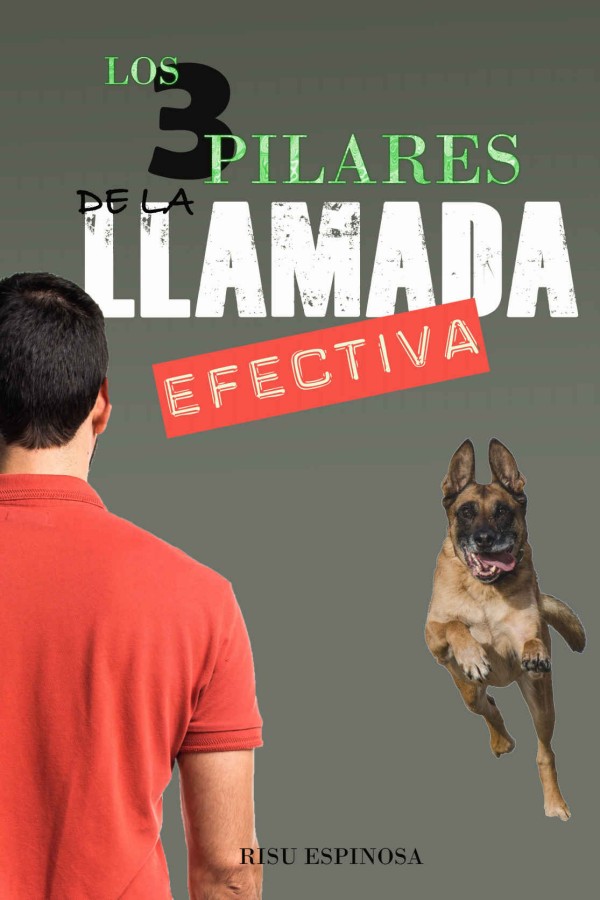 Los 3 pilares de la llamada efectiva
