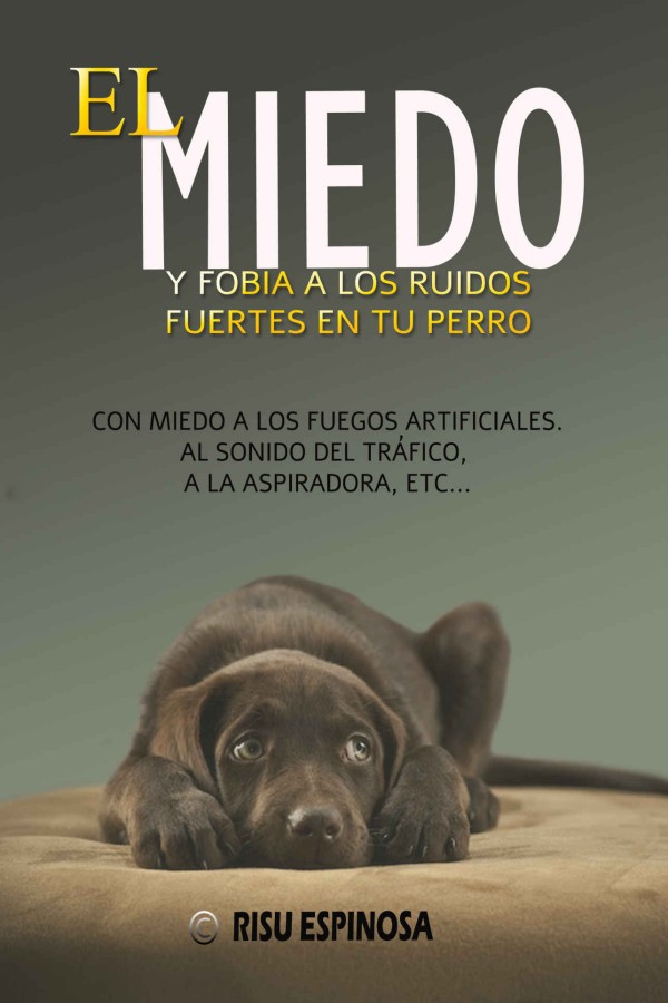 El miedo y fobia a los ruidos fuertes