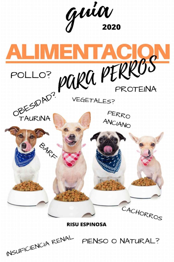 Guía 2020. Alimentación para perros