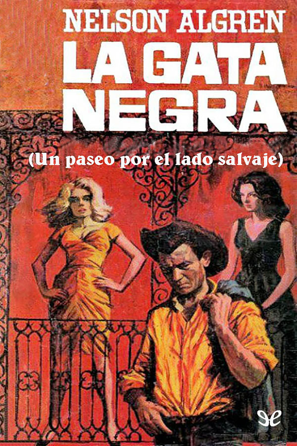 La gata negra