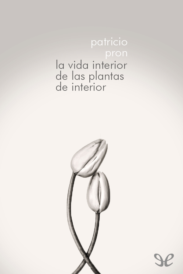 La vida interior de las plantas de interior