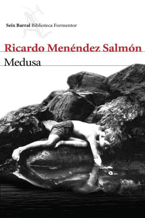 Ricardo Menéndez Salmón