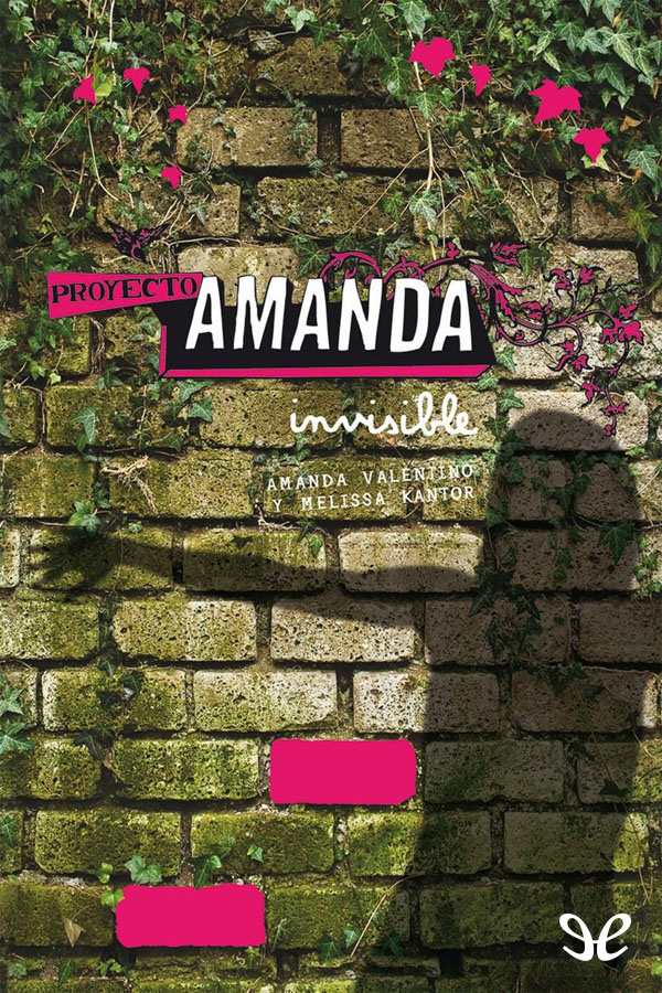 Proyecto Amanda: Invisible