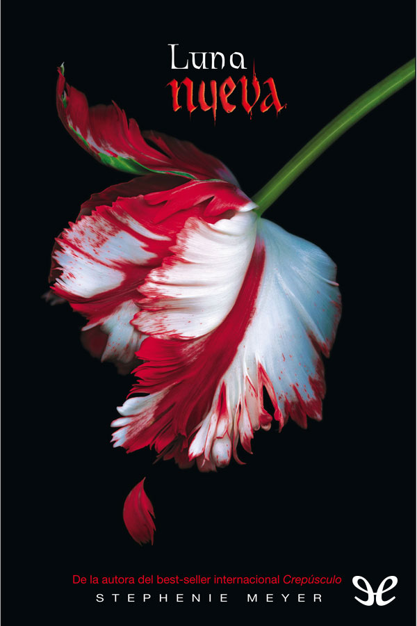 Luna nueva