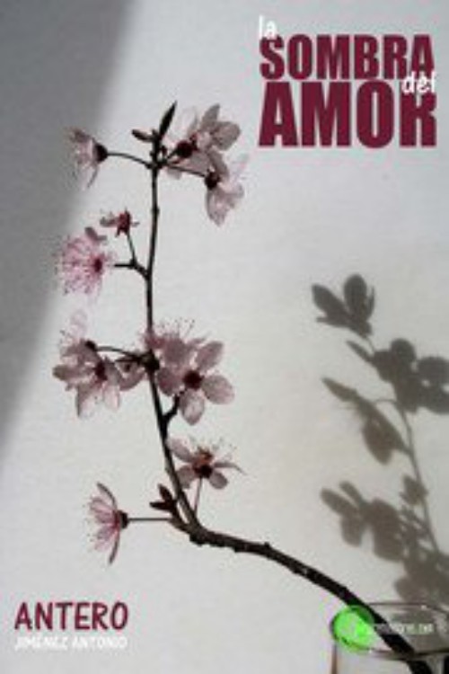 La sombra del amor