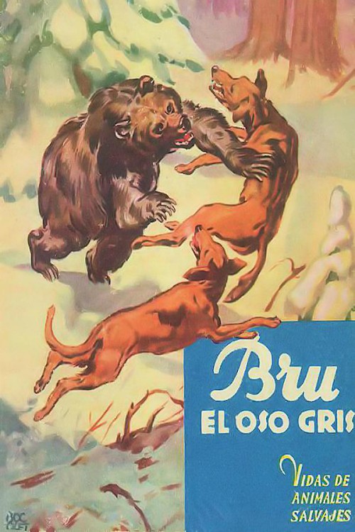 Bru, el oso gris