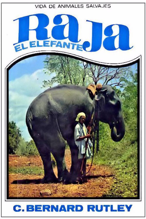 Raja, el elefante