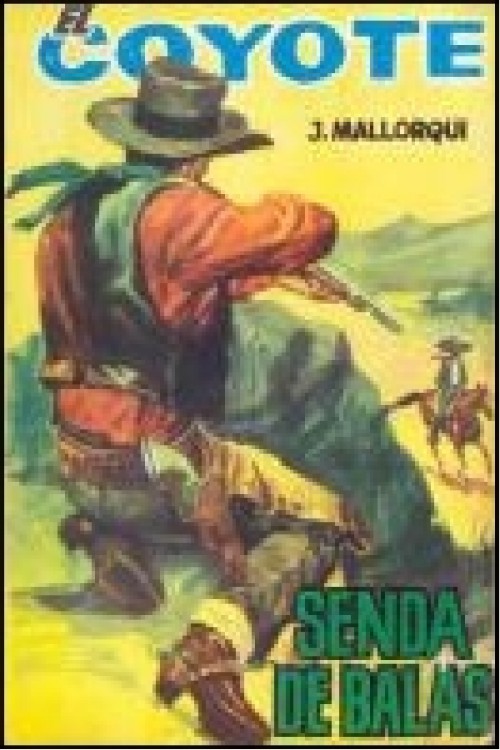 Senda de balas
