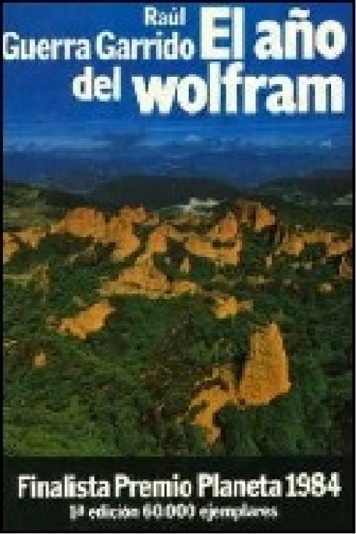 Raúl Guerra Garrido