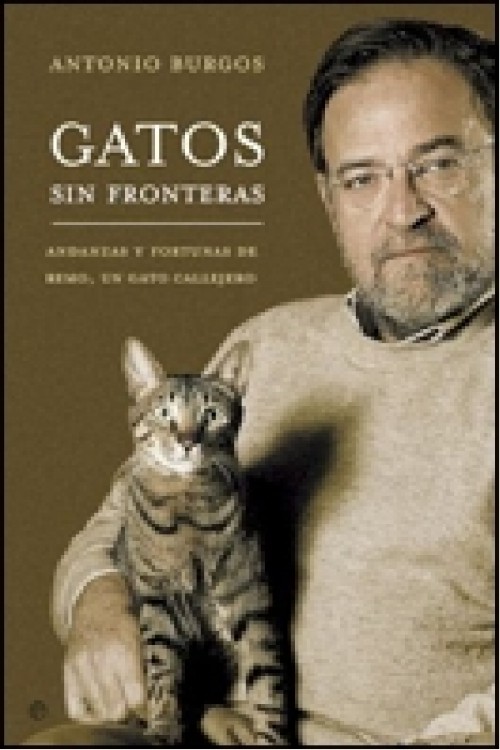 Gatos sin fronteras