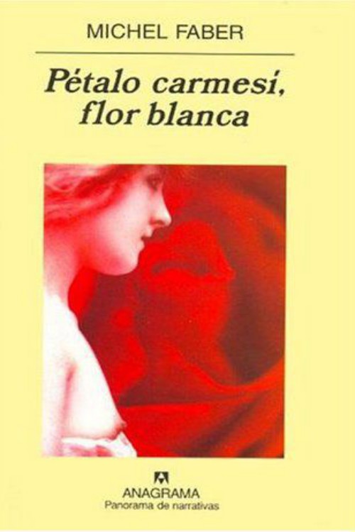 Pétalo carmesí, flor blanca