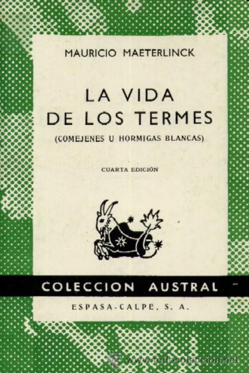 La vida de los termes