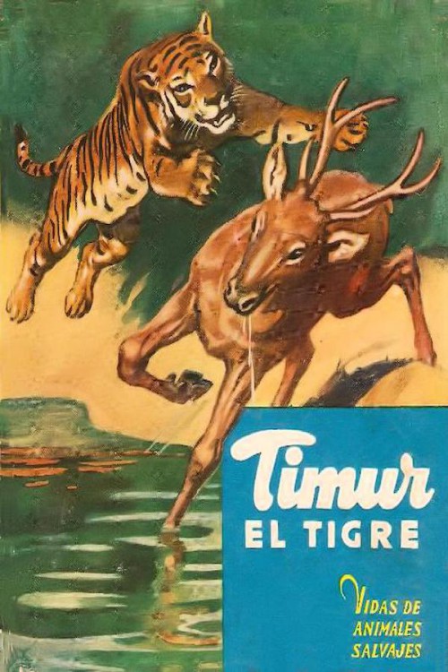 Timur, el tigre