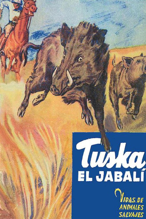 Tuska, el jabalí