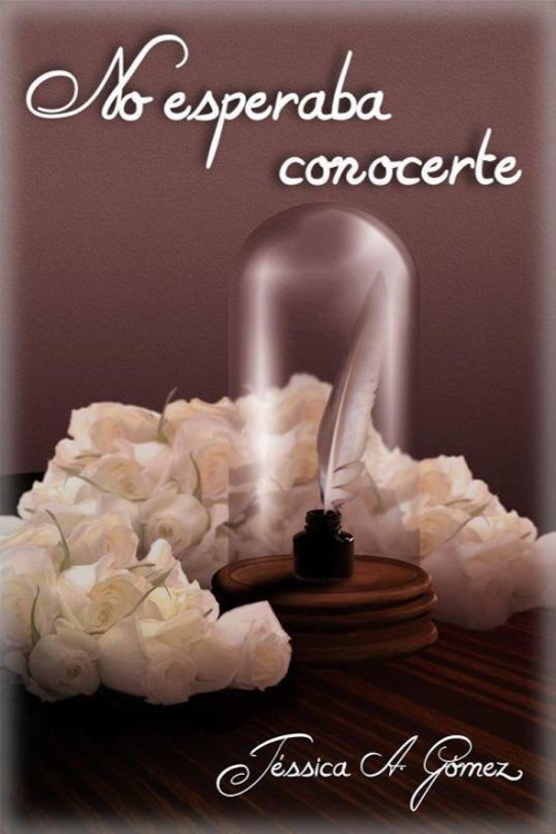 No esperaba conocerte