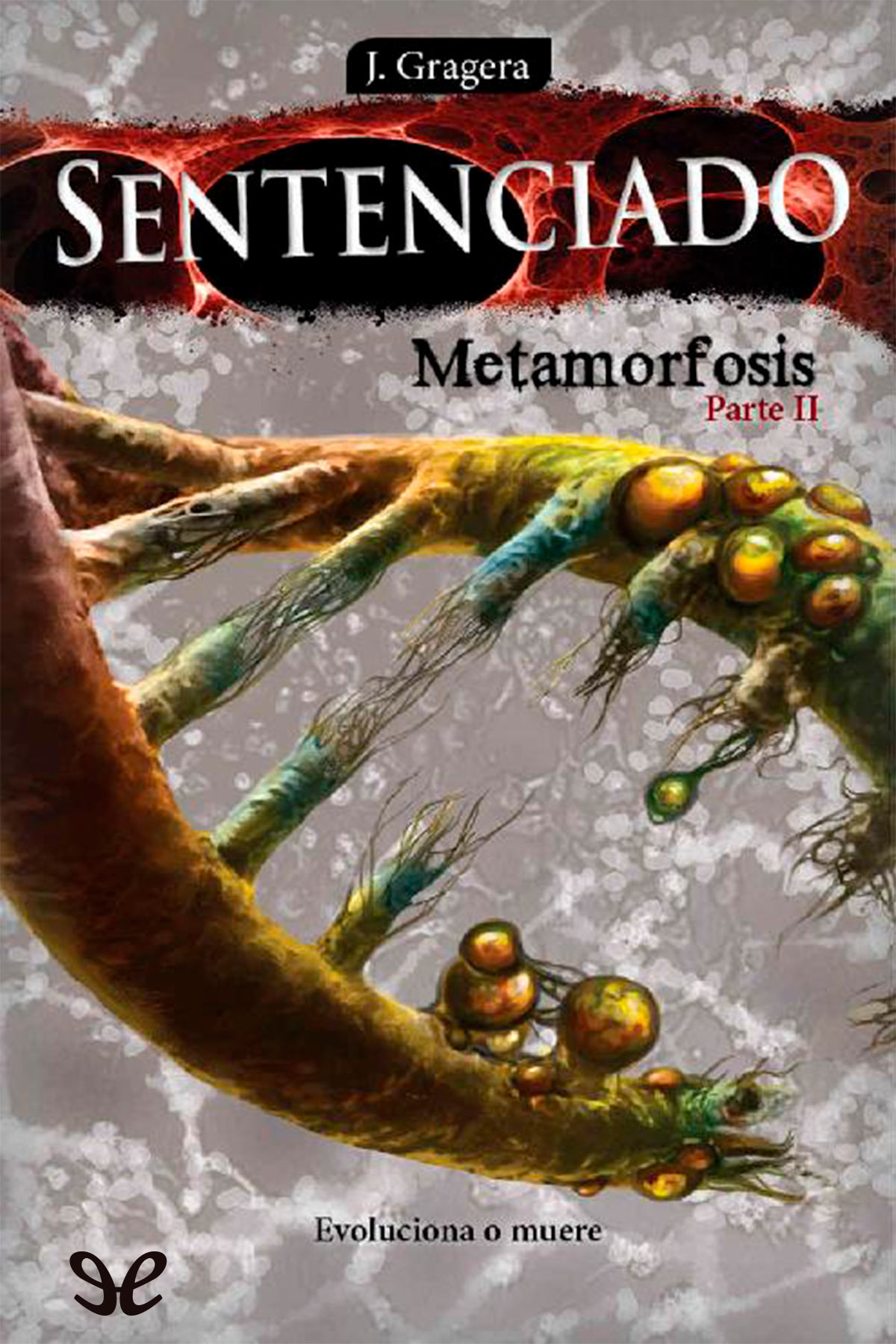 Metamorfosis parte II