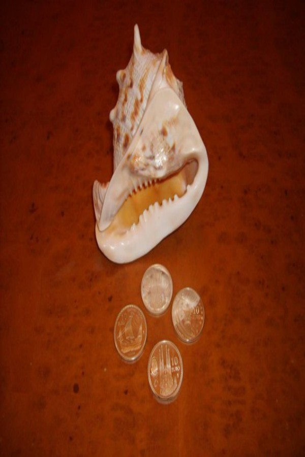 Un tesoro por descubrir