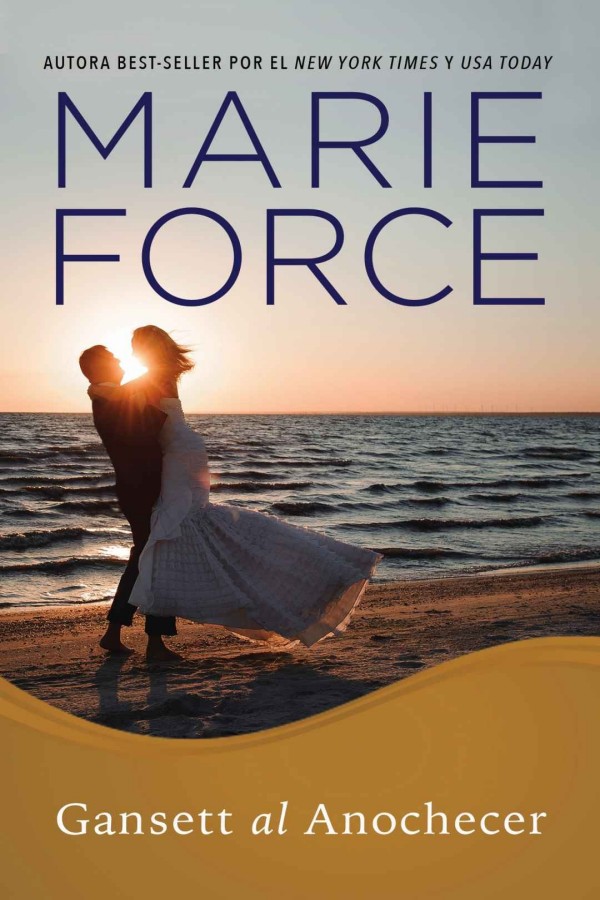 Gansett al anochecer