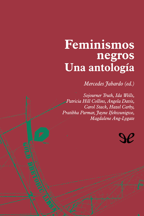Feminismos negros: una antología