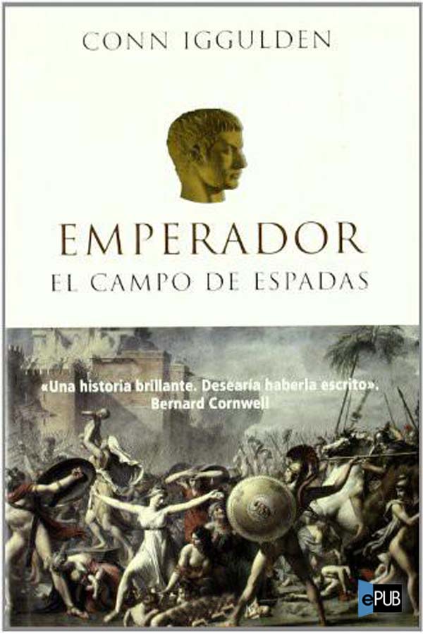 El campo de espadas