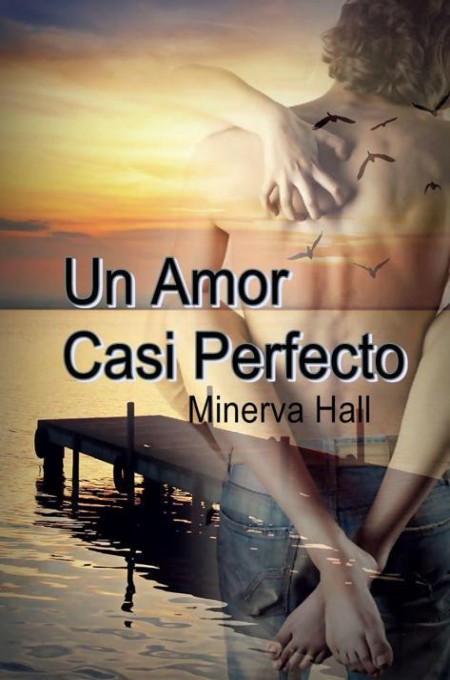 Un amor casi perfecto