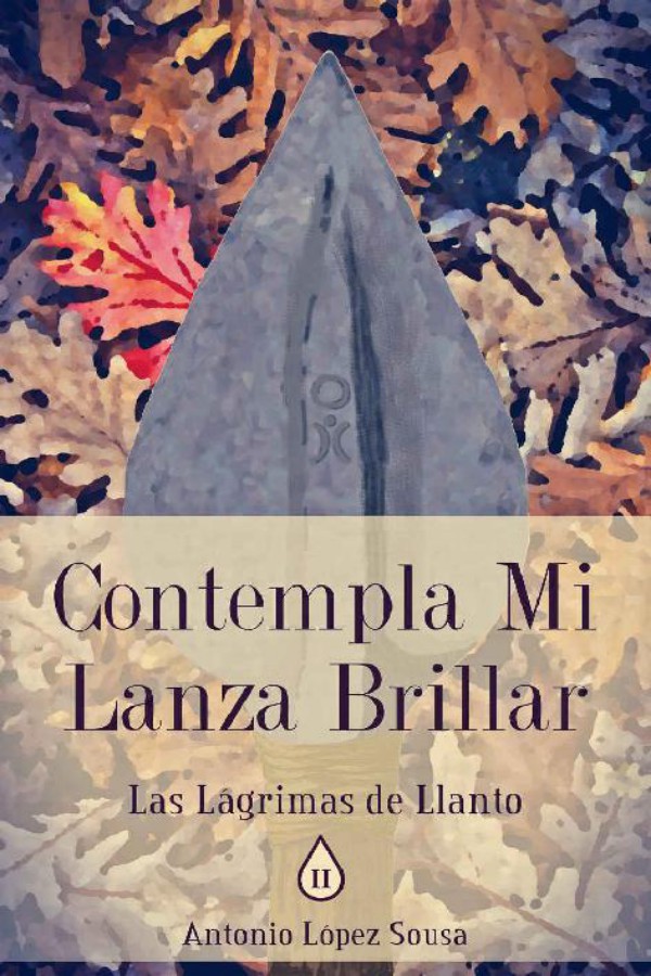 Contempla mi lanza brillar