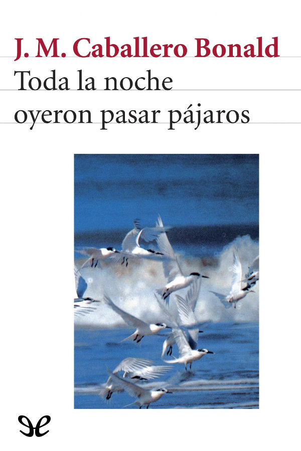 Toda la noche oyeron pasar pájaros