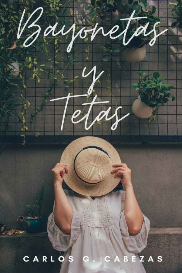 Bayonetas y tetas