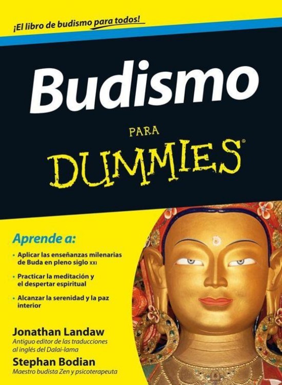 Budismo para dummies