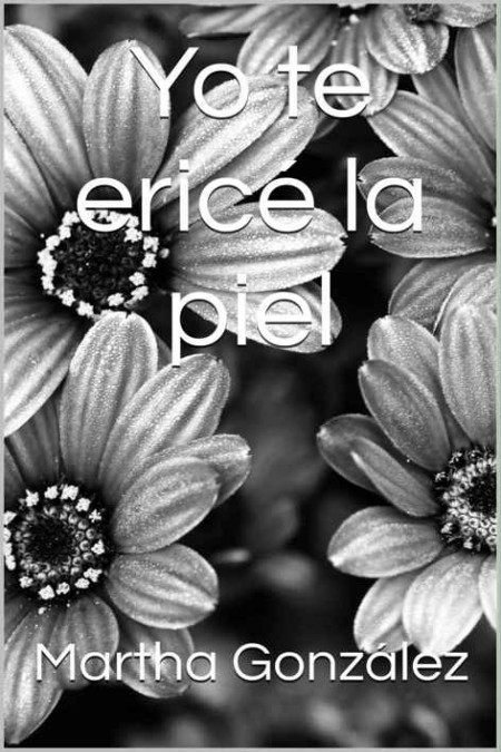 Yo te ericé la piel
