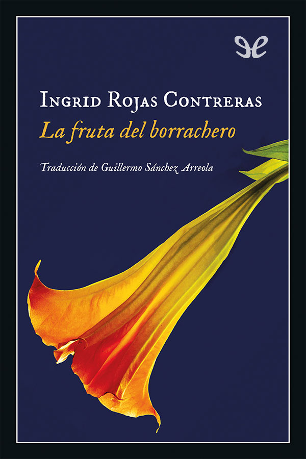 La fruta del borrachero