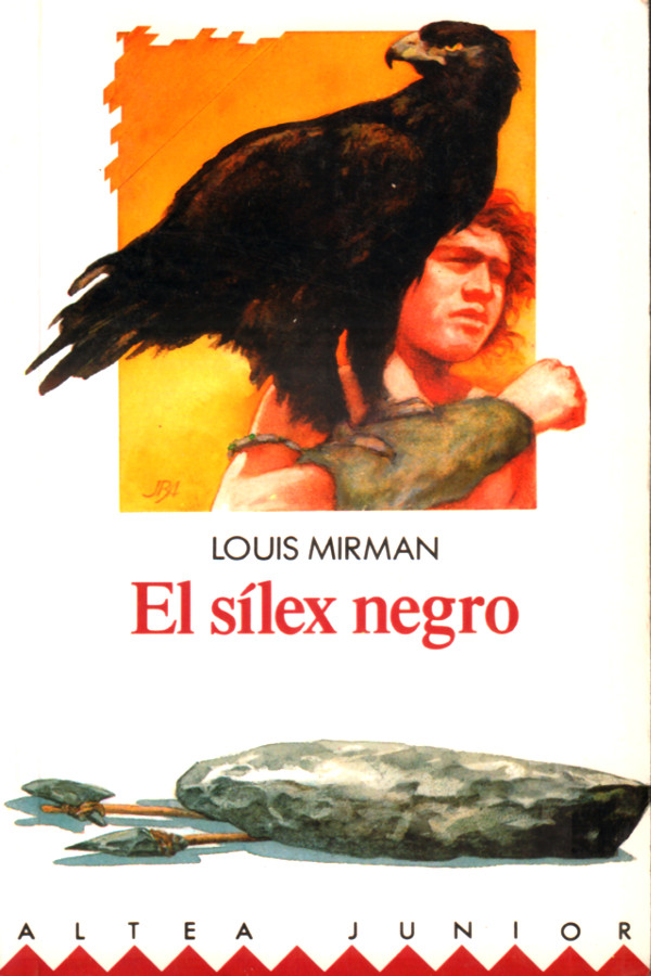 El sílex negro