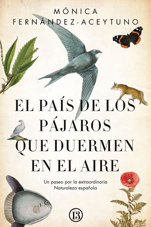 El país de los pájaros que duermen en el aire