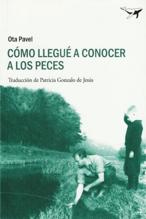 Cómo llegué a conocer a los peces