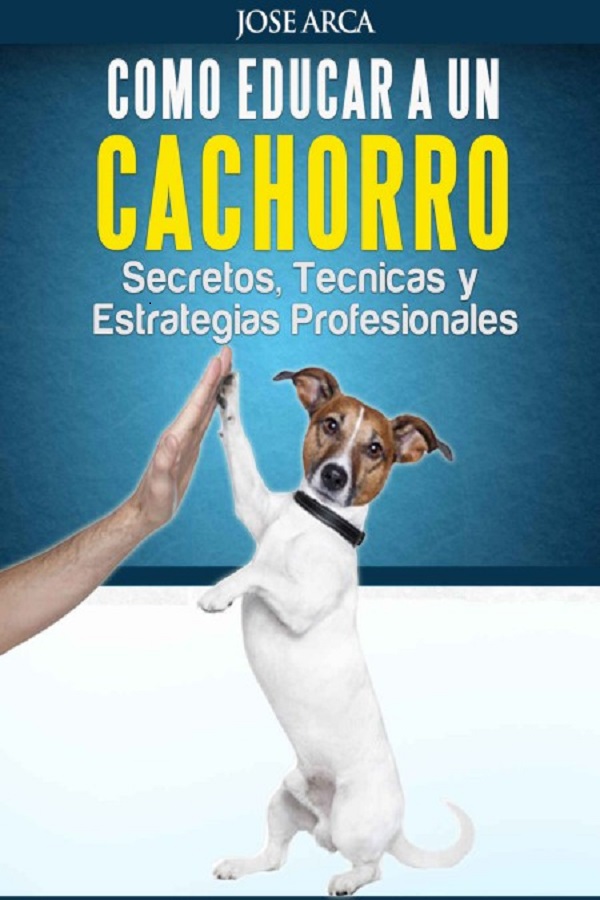 Como educar a un cachorro