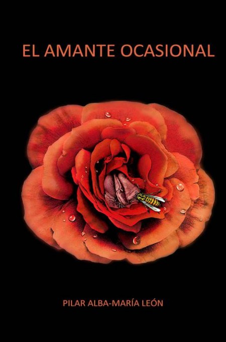 El amante ocasional