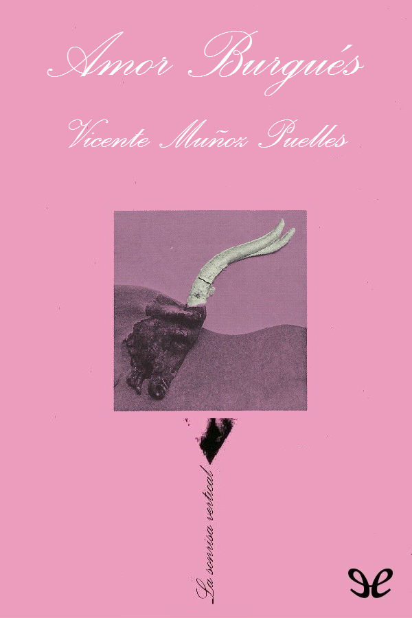 Vicente Muñoz Puelles