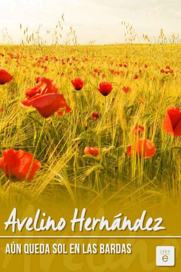 Aún queda sol en las bardas