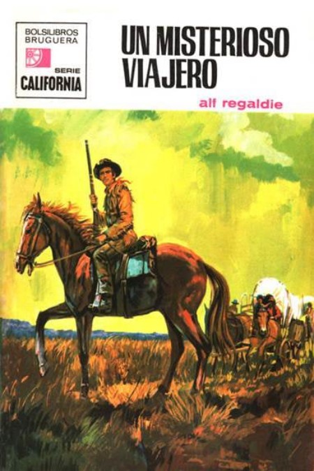 Un misterioso viajero