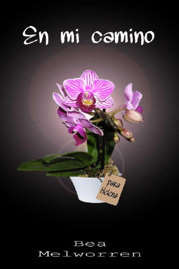 En mi camino