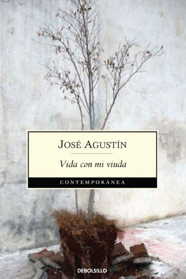 José Agustín