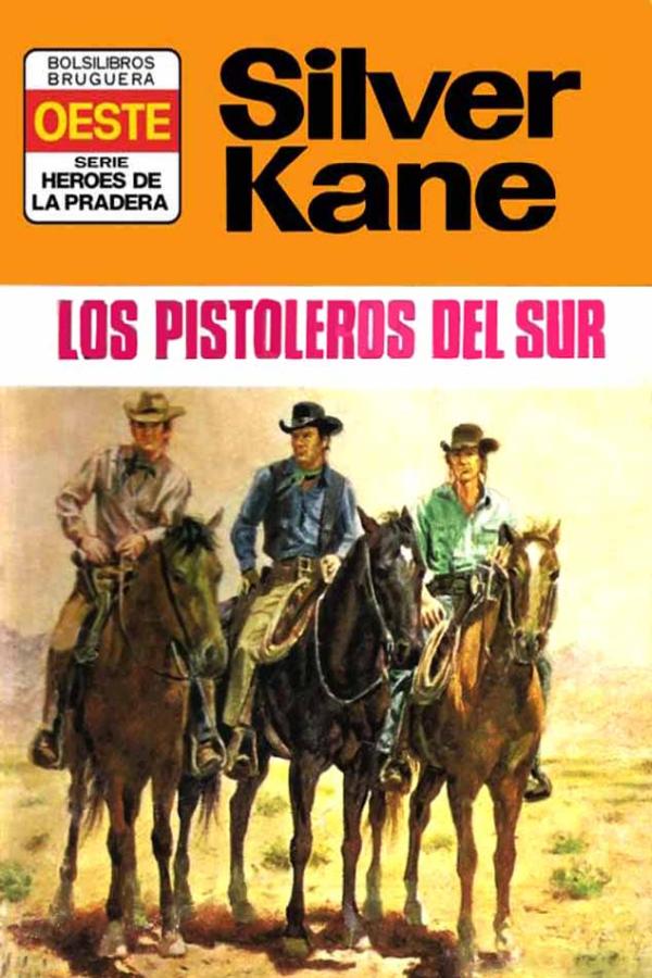 Los pistoleros del sur