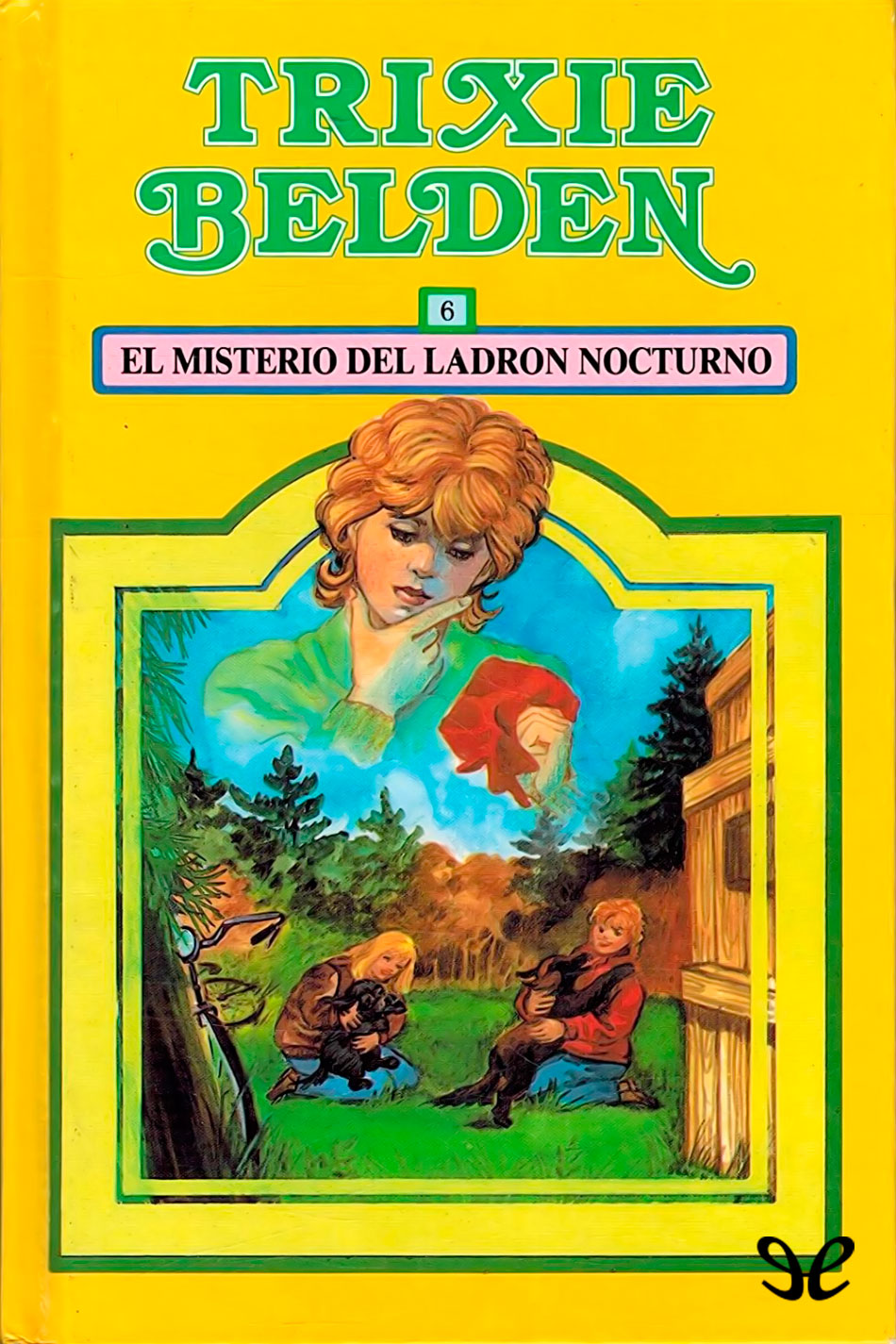 El misterio del ladrón nocturno